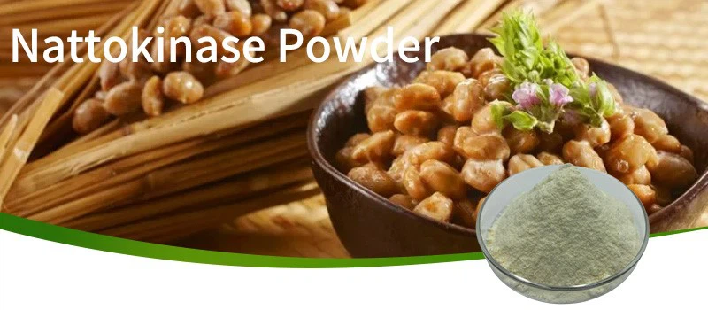 Nattokinase powder-2 Nattokinase powder-2