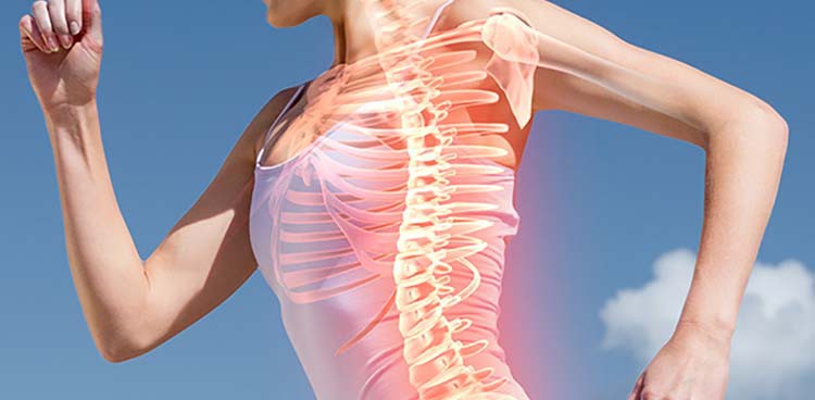 CLA Oil Powder-3 CLA Oil Powder-3