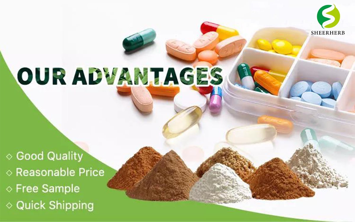 olive leaf extract powder 05