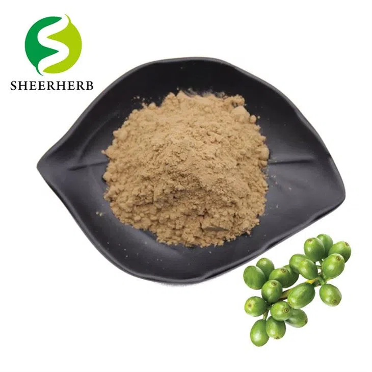 green-coffee-beans-extract