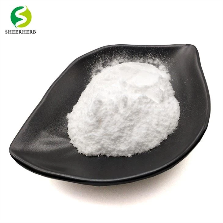 Green Tea Extrait Powder
